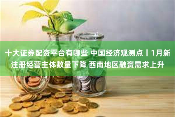 十大证券配资平台有哪些 中国经济观测点丨1月新注册经营主体数量下降 西南地区融资需求上升
