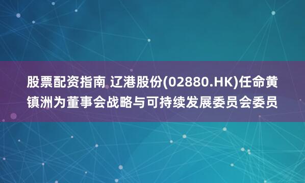 股票配资指南 辽港股份(02880.HK)任命黄镇洲为董事会战略与可持续发展委员会委员