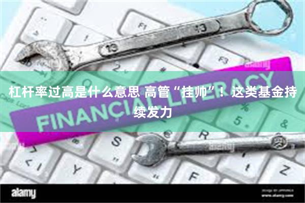 杠杆率过高是什么意思 高管“挂帅”！这类基金持续发力