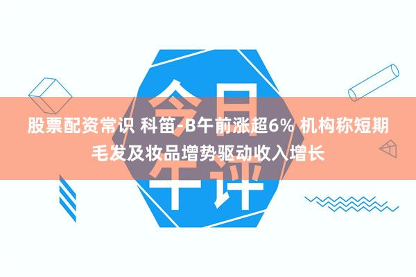 股票配资常识 科笛-B午前涨超6% 机构称短期毛发及妆品增势驱动收入增长
