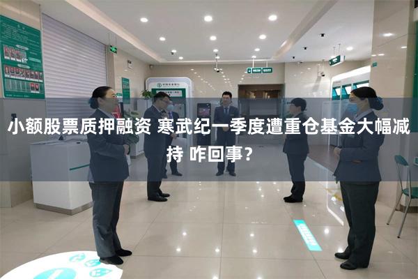 小额股票质押融资 寒武纪一季度遭重仓基金大幅减持 咋回事？
