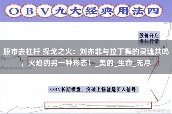 股市去杠杆 探戈之火：刘亦菲与拉丁舞的灵魂共鸣，火焰的另一种形态！_美的_生命_无尽