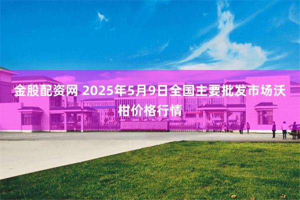 金股配资网 2025年5月9日全国主要批发市场沃柑价格行情