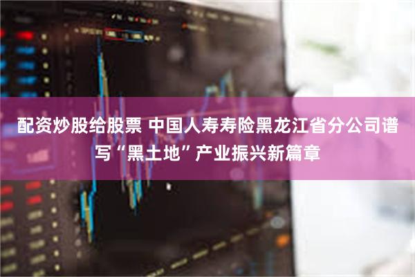 配资炒股给股票 中国人寿寿险黑龙江省分公司谱写“黑土地”产业振兴新篇章