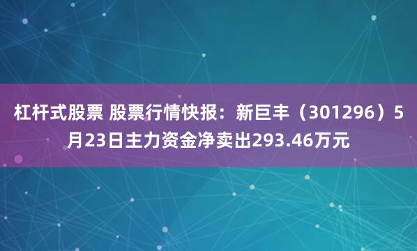 杠杆式股票 股票行情快报：新巨丰（301296）5月23日主力资金净卖出293.46万元