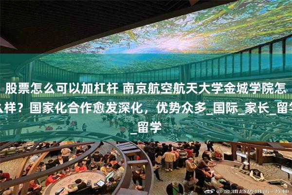 股票怎么可以加杠杆 南京航空航天大学金城学院怎么样？国家化合作愈发深化，优势众多_国际_家长_留学