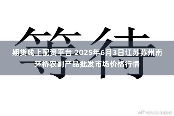 期货线上配资平台 2025年6月3日江苏苏州南环桥农副产品批发市场价格行情