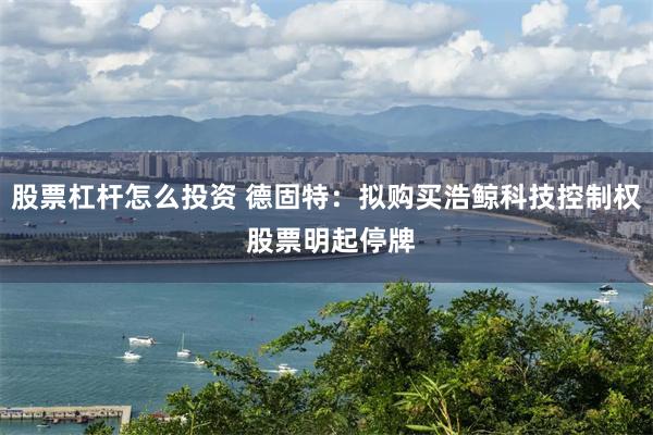 股票杠杆怎么投资 德固特：拟购买浩鲸科技控制权 股票明起停牌