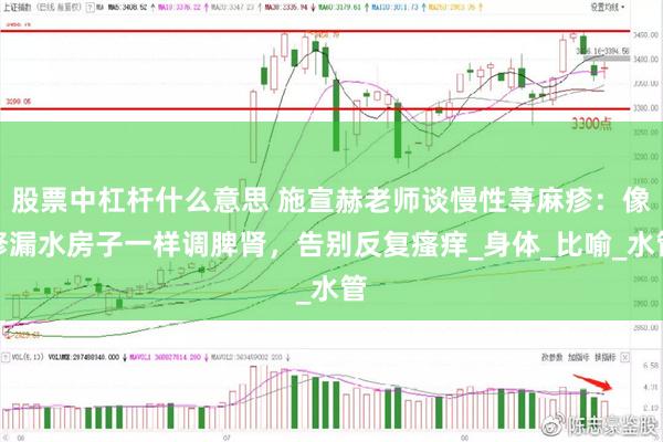 股票中杠杆什么意思 施宣赫老师谈慢性荨麻疹：像修漏水房子一样调脾肾，告别反复瘙痒_身体_比喻_水管