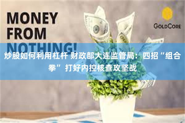 炒股如何利用杠杆 财政部大连监管局：四招“组合拳” 打好内控核查攻坚战