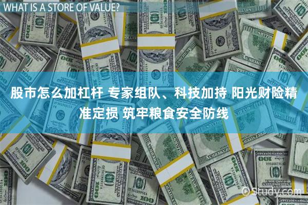 股市怎么加杠杆 专家组队、科技加持 阳光财险精准定损 筑牢粮食安全防线