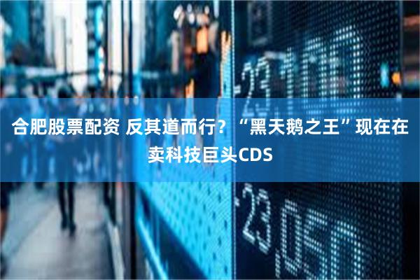 合肥股票配资 反其道而行？“黑天鹅之王”现在在卖科技巨头CDS